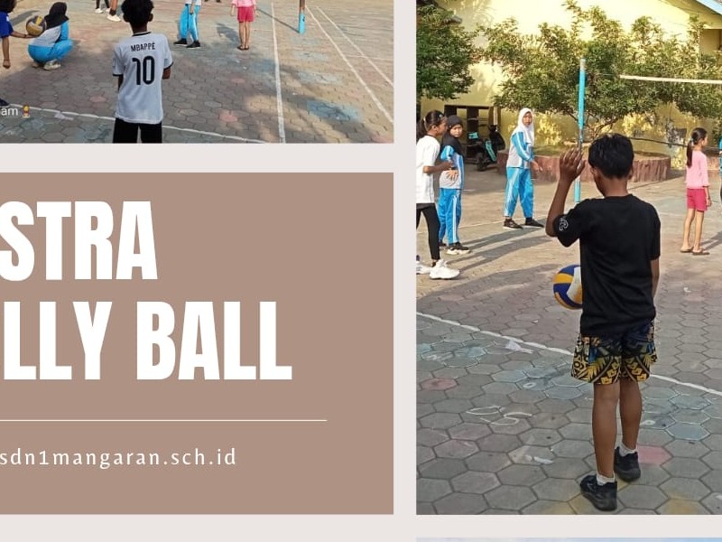 VOLLY BALL